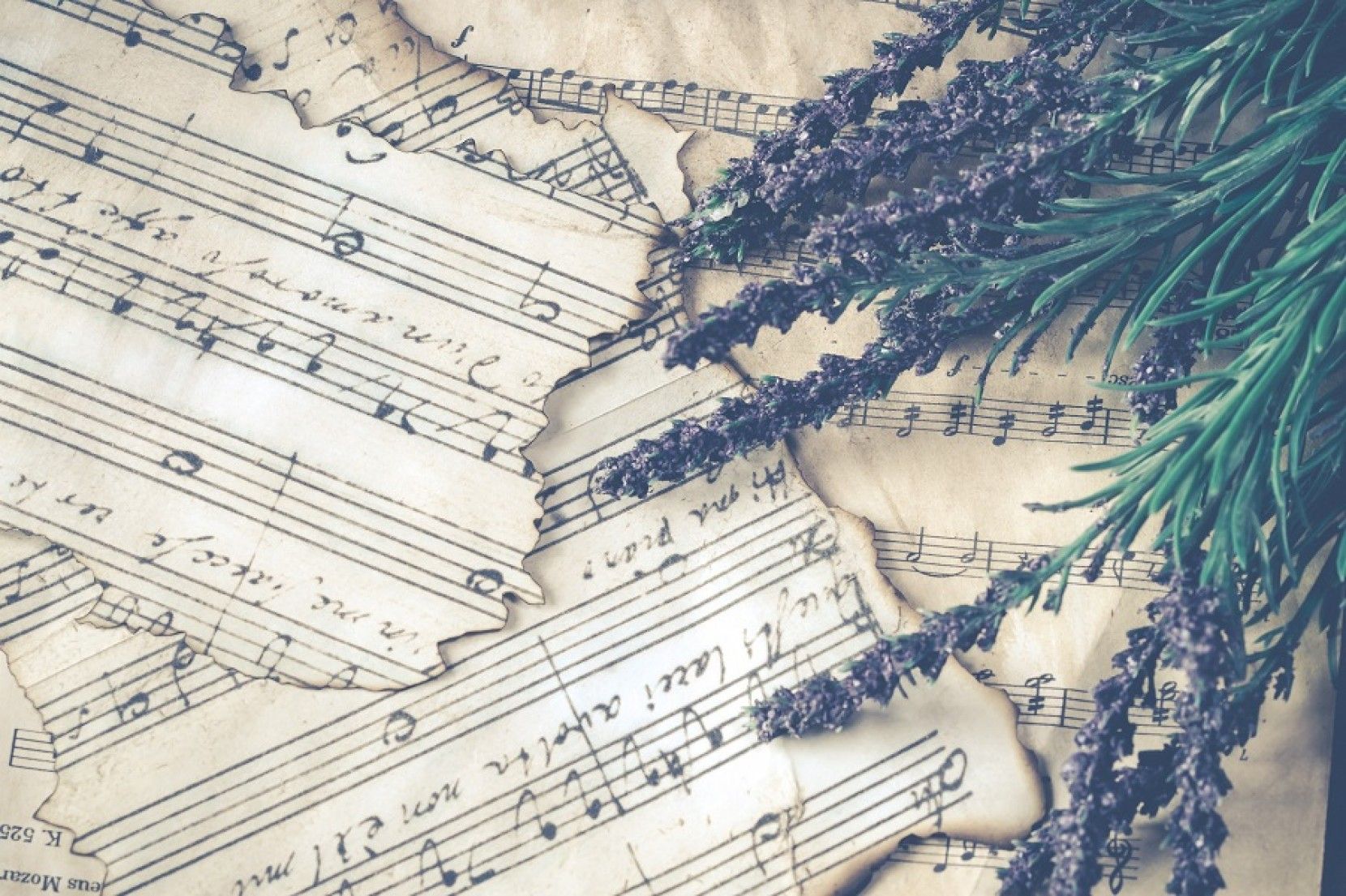 Ideas para una boda con temtica musical